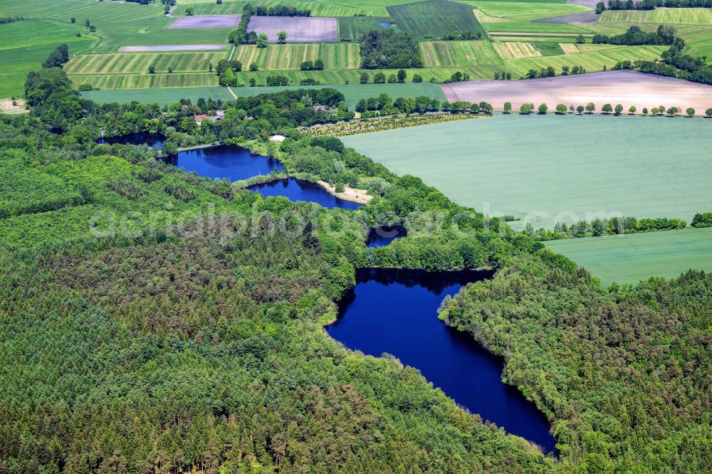 Oldendorf from above - Lake shore areas in the forest in Sunde near Oldendorf in the state Lower Saxony, Germany