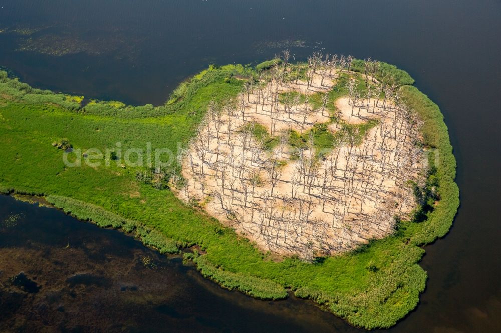 Aerial image Polchowo - Waterfront landscape on the lake in Polchowo in West Pomerania, Poland