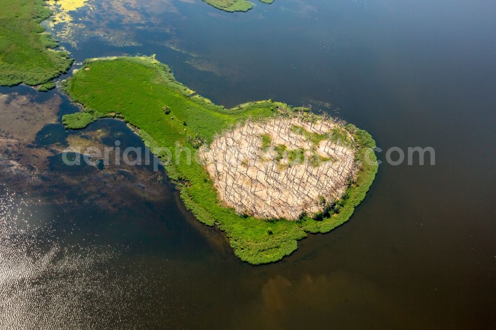 Aerial photograph Polchowo - Waterfront landscape on the lake in Polchowo in West Pomerania, Poland