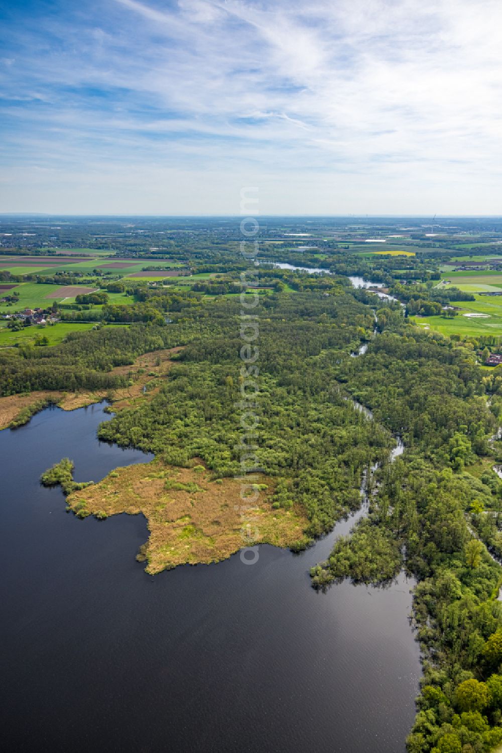 Aerial photograph Nettetal - Shoreline landscape in the area of the chain of lakes Grosser De Wittsee - Krickenbecker Seen on the road Am Wittsee in Nettetal in the federal state of North Rhine-Westphalia, Germany