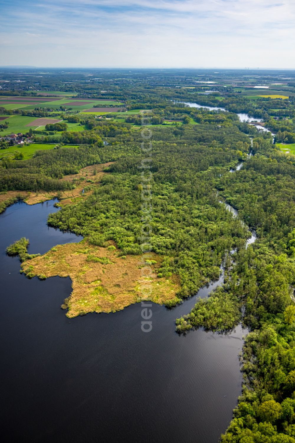 Nettetal from above - Shoreline landscape in the area of the chain of lakes Grosser De Wittsee - Krickenbecker Seen on the road Am Wittsee in Nettetal in the federal state of North Rhine-Westphalia, Germany