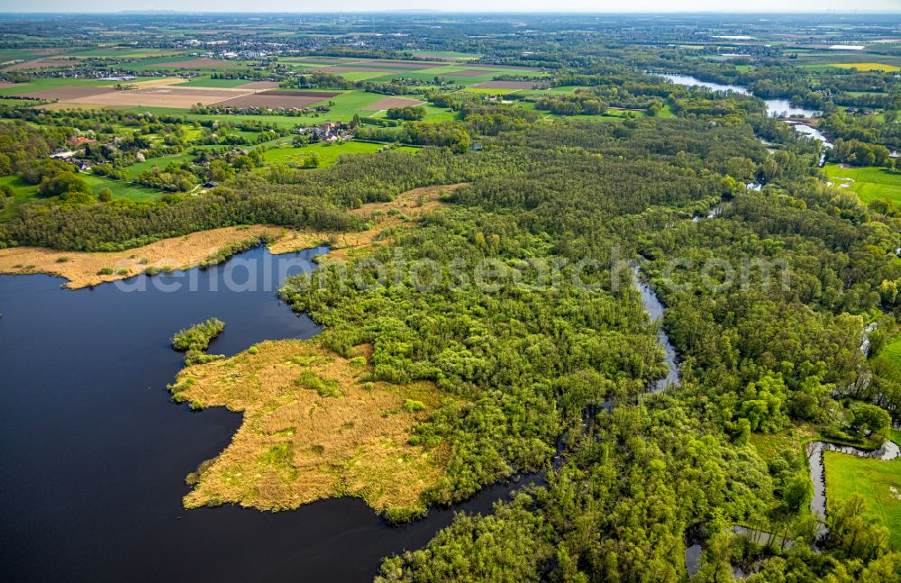 Aerial image Nettetal - Shoreline landscape in the area of the chain of lakes Grosser De Wittsee - Krickenbecker Seen on the road Am Wittsee in Nettetal in the federal state of North Rhine-Westphalia, Germany