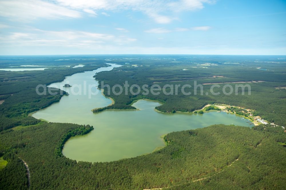 Wdzydze Kiszewskie from the bird's eye view: Waterfront landscape on the lake Jezioro Golun in Wdzydze Kiszewskie in Pomorskie, Poland