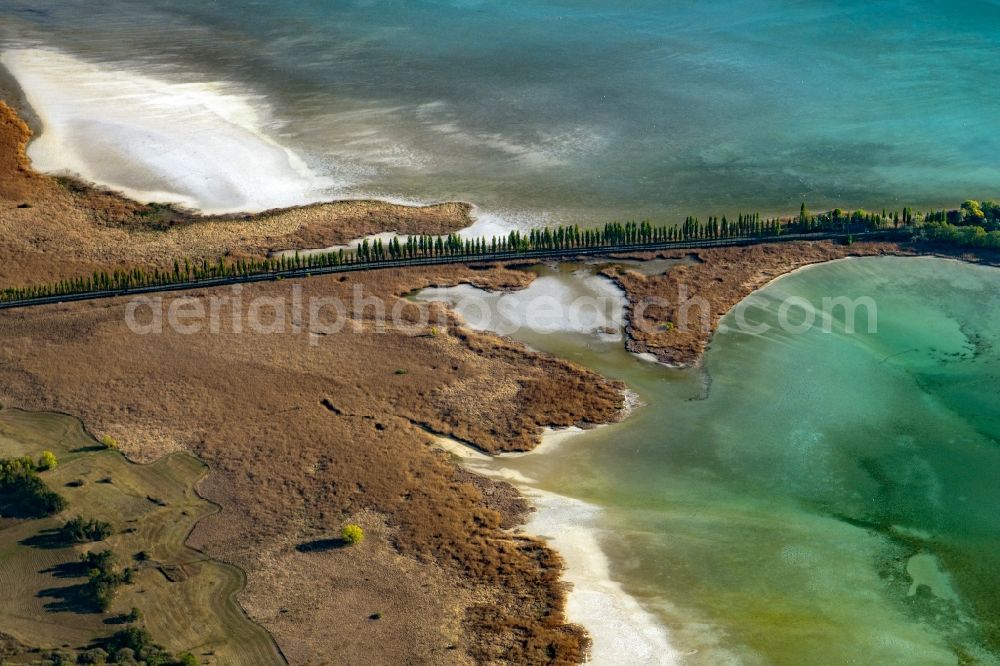 Aerial photograph Steckborn - Waterfront landscape on the lake Untersee on Bodensee in Steckborn in the canton Thurgau, Switzerland