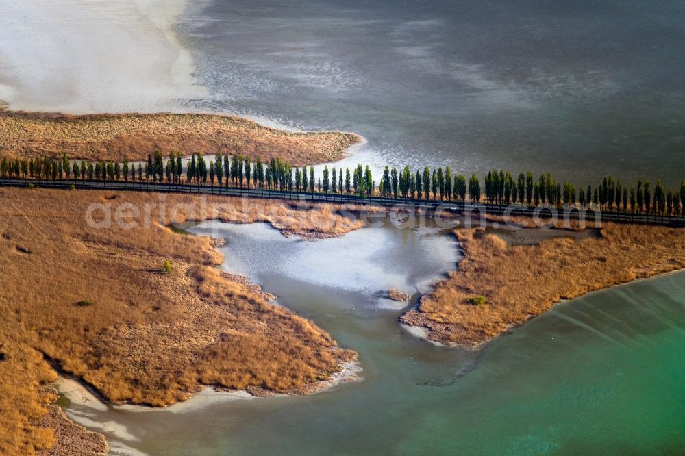 Steckborn from the bird's eye view: Waterfront landscape on the lake Untersee on Bodensee in Steckborn in the canton Thurgau, Switzerland