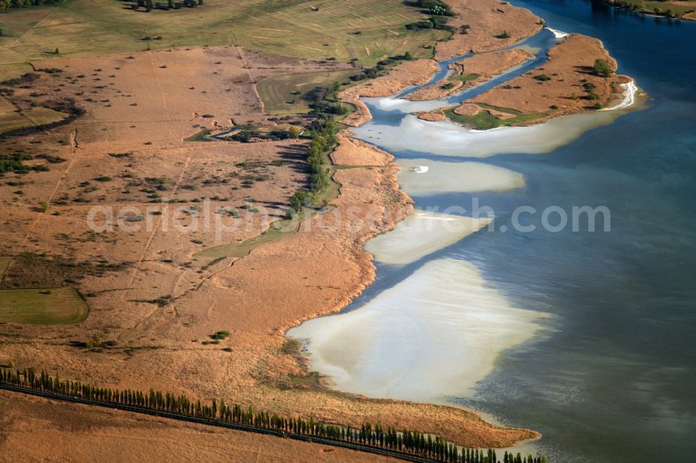 Aerial photograph Steckborn - Waterfront landscape on the lake Untersee on Bodensee in Steckborn in the canton Thurgau, Switzerland