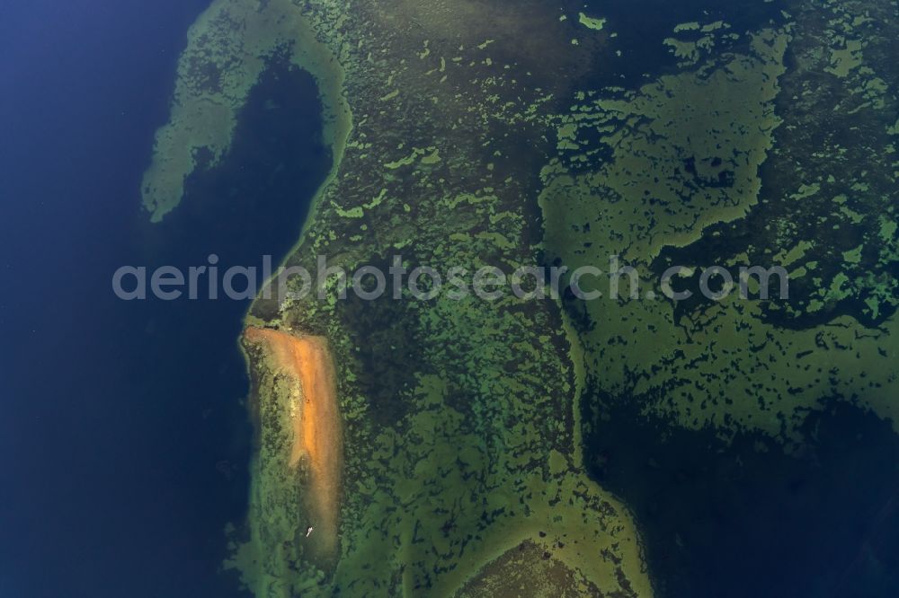 Steckborn from the bird's eye view: Waterfront landscape on the lake Untersee on Bodensee in Steckborn in the canton Thurgau, Switzerland