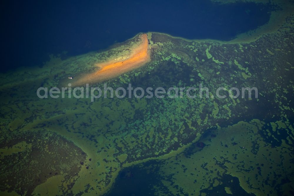 Aerial image Steckborn - Waterfront landscape on the lake Untersee on Bodensee in Steckborn in the canton Thurgau, Switzerland