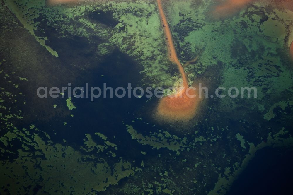 Aerial photograph Steckborn - Waterfront landscape on the lake Untersee on Bodensee in Steckborn in the canton Thurgau, Switzerland