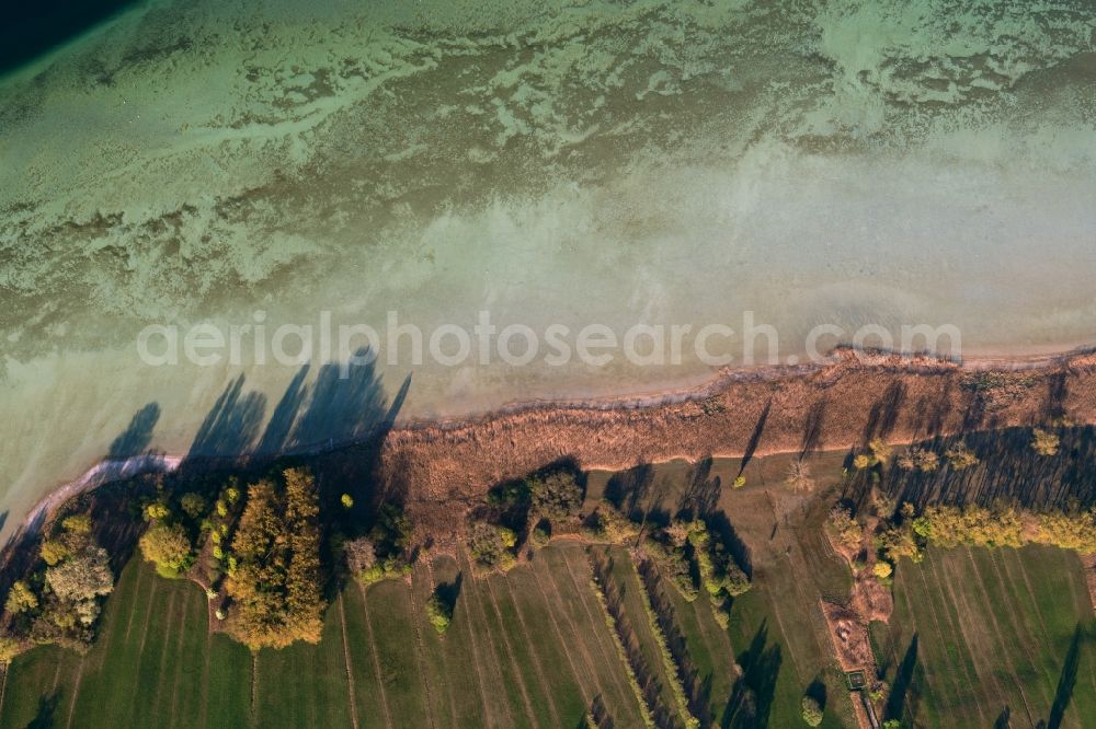 Steckborn from the bird's eye view: Waterfront landscape on the lake Untersee on Bodensee in Steckborn in the canton Thurgau, Switzerland