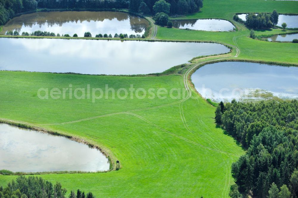 Wüstenwetzdorf from the bird's eye view: Blick auf Seenlandschaft / Fischteiche bei Wüstenwetzdorf / Auma in Thüringen. Lakes / ponds in Wüstenwetzdorf / Auma in Thuringia.