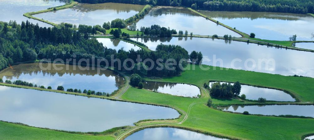 Aerial photograph Wüstenwetzdorf - Blick auf Seenlandschaft / Fischteiche bei Wüstenwetzdorf / Auma in Thüringen. Lakes / ponds in Wüstenwetzdorf / Auma in Thuringia.