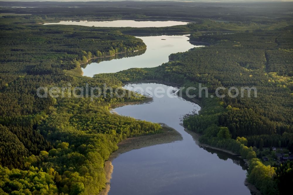 Aerial image Rechlin - View of a seascape in Rechlin in the state Mecklenburg-West Pomerania