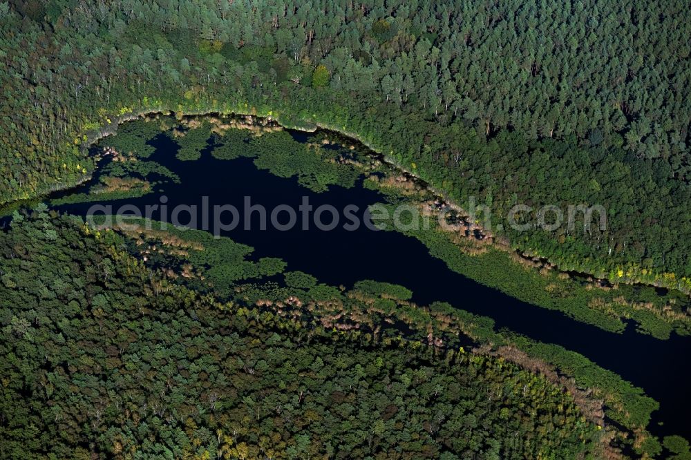 Aerial image Roggentin - View of a seascape in Roggentin in the state Mecklenburg-West Pomerania