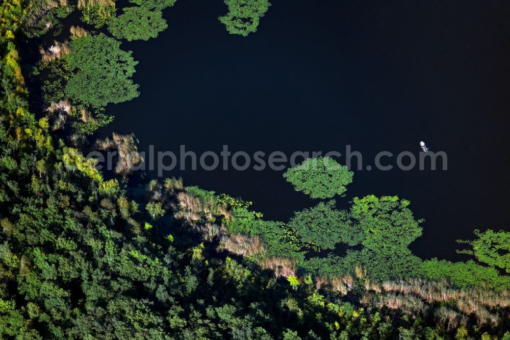 Roggentin from above - View of a seascape in Roggentin in the state Mecklenburg-West Pomerania