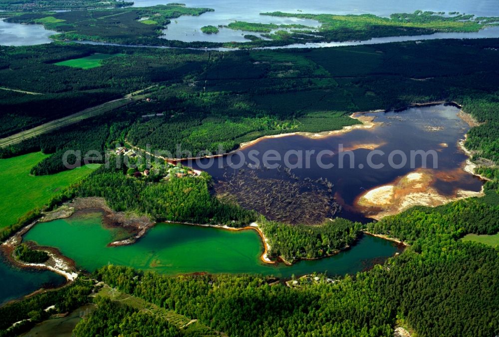 Senftenberg from the bird's eye view: Lakes of the Senftenberger lake area in the federal state of Brandenburg. Several small lakes and ponds are located on its shores which include several islands. The landscape is characterized by such ponds and coniferous woodland