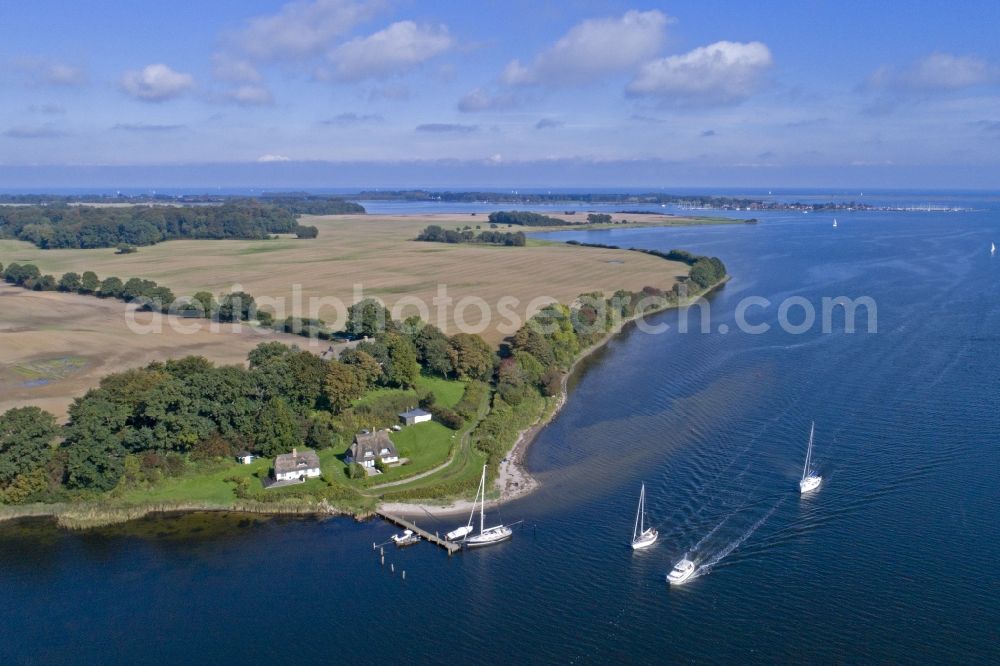 Aerial image Kappeln - Sailing boats on the Baltic Sea Fjord Schlei between Rabelsund and the district Ellenberg in Kappeln on the Baltic Sea Fjord Schlei in the state Schleswig-Holstein, Germany