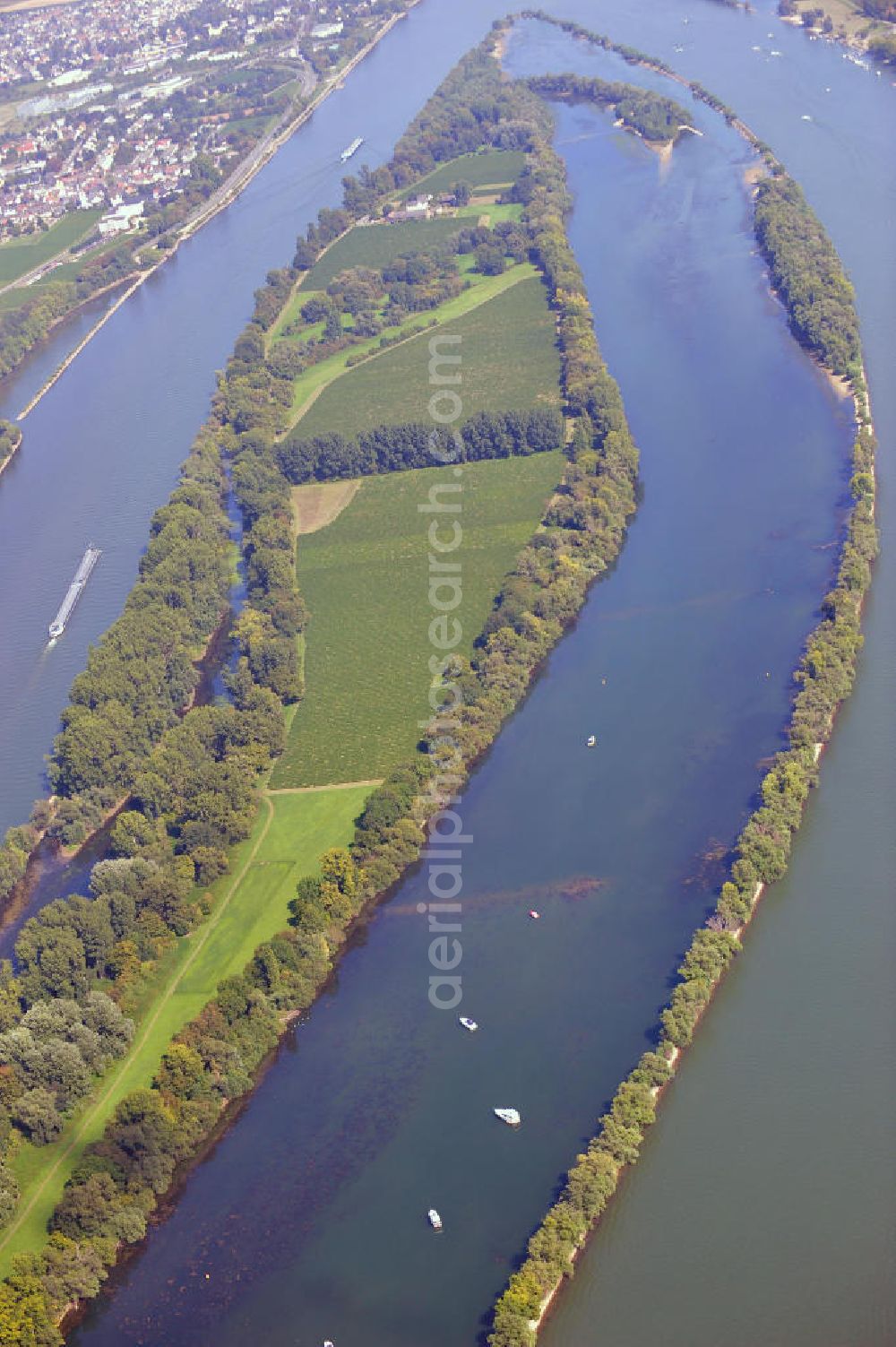 ELTVILLE AM RHEIN from above - Blick auf Segelschiffe und Sportboote auf dem Rhein an der Mariannenaue. Der sich verzweigende Flußabschnitt des Rheins ist ein beliebtes Naherholungs- und Wassersportgebiet im Rheingau-Taunus-Kreis in Hessen. Sailing ships and pleasure boats on the Rhine at the Mariannenaue in Hesse.