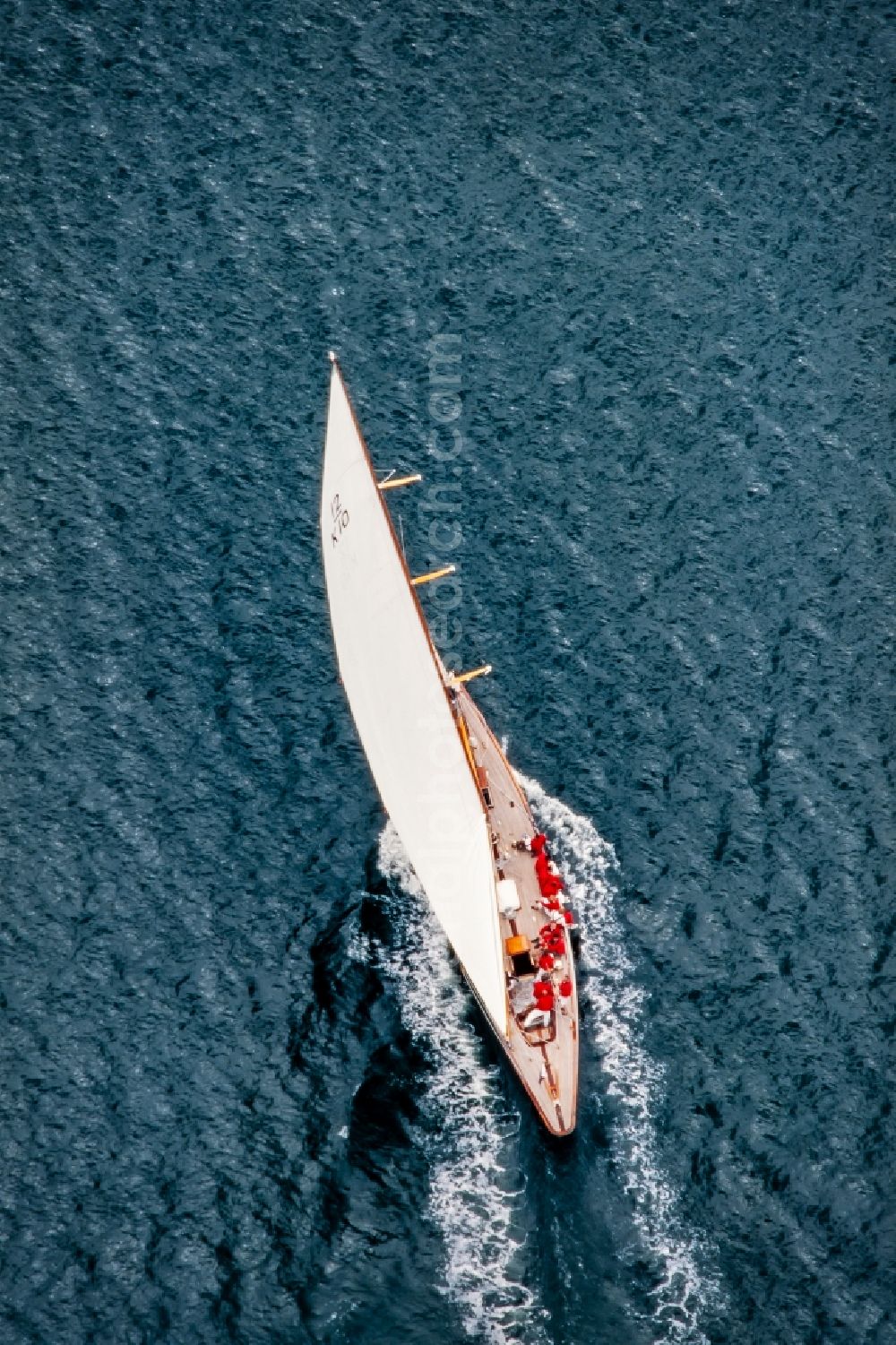 Glücksburg from the bird's eye view: Sailing yacht TRIVIA on the Flensburg Fjord in Gluecksburg in the state Schleswig-Holstein, Germany