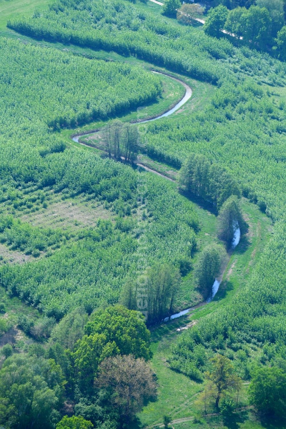 Leegebruch from above - Meandering, serpentine curve of a river Moorgraben in Leegebruch in the state Brandenburg, Germany