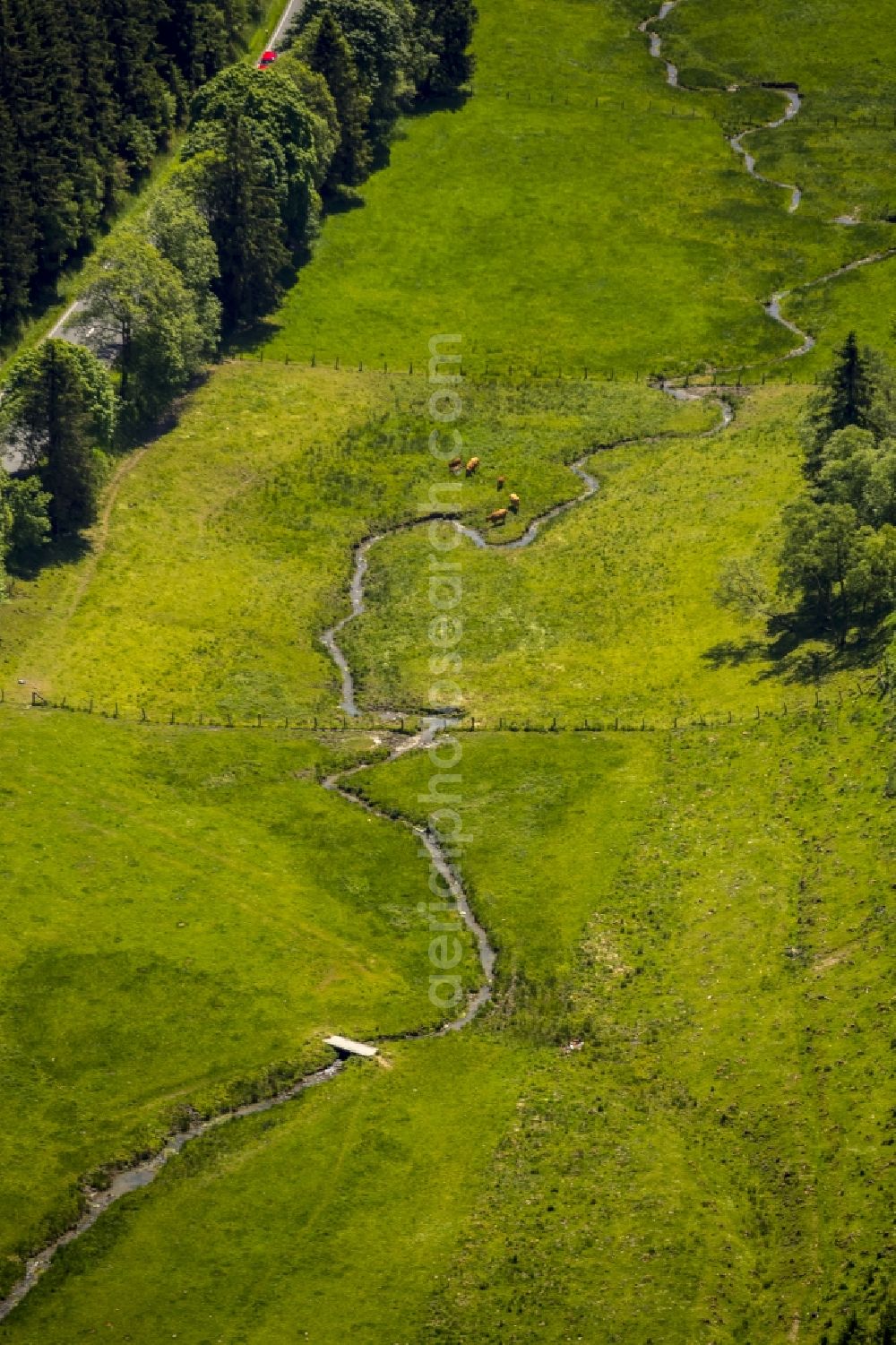 Aerial image Winterberg - Serpentine curve of a river Ruhr in Winterberg in the state North Rhine-Westphalia