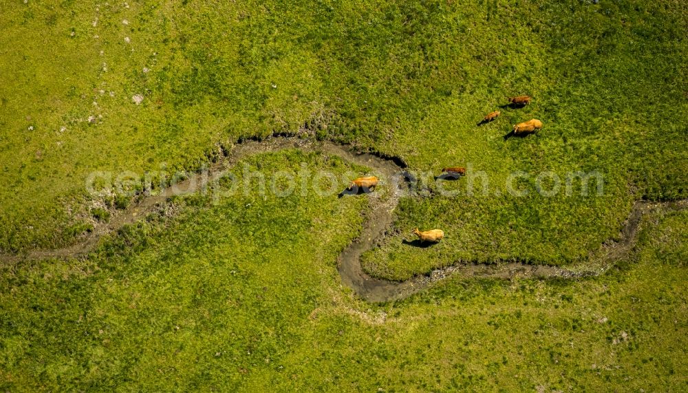 Winterberg from above - Serpentine curve of a river Ruhr in Winterberg in the state North Rhine-Westphalia