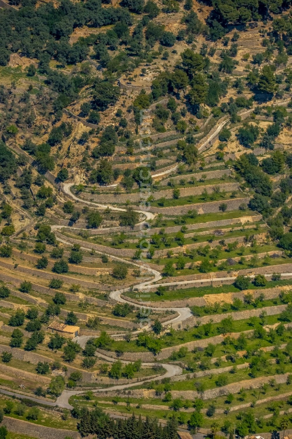 Bunyola from above - Serpentine-shaped curve of a road guide in Bunyola in Balearic island of Mallorca, Spain