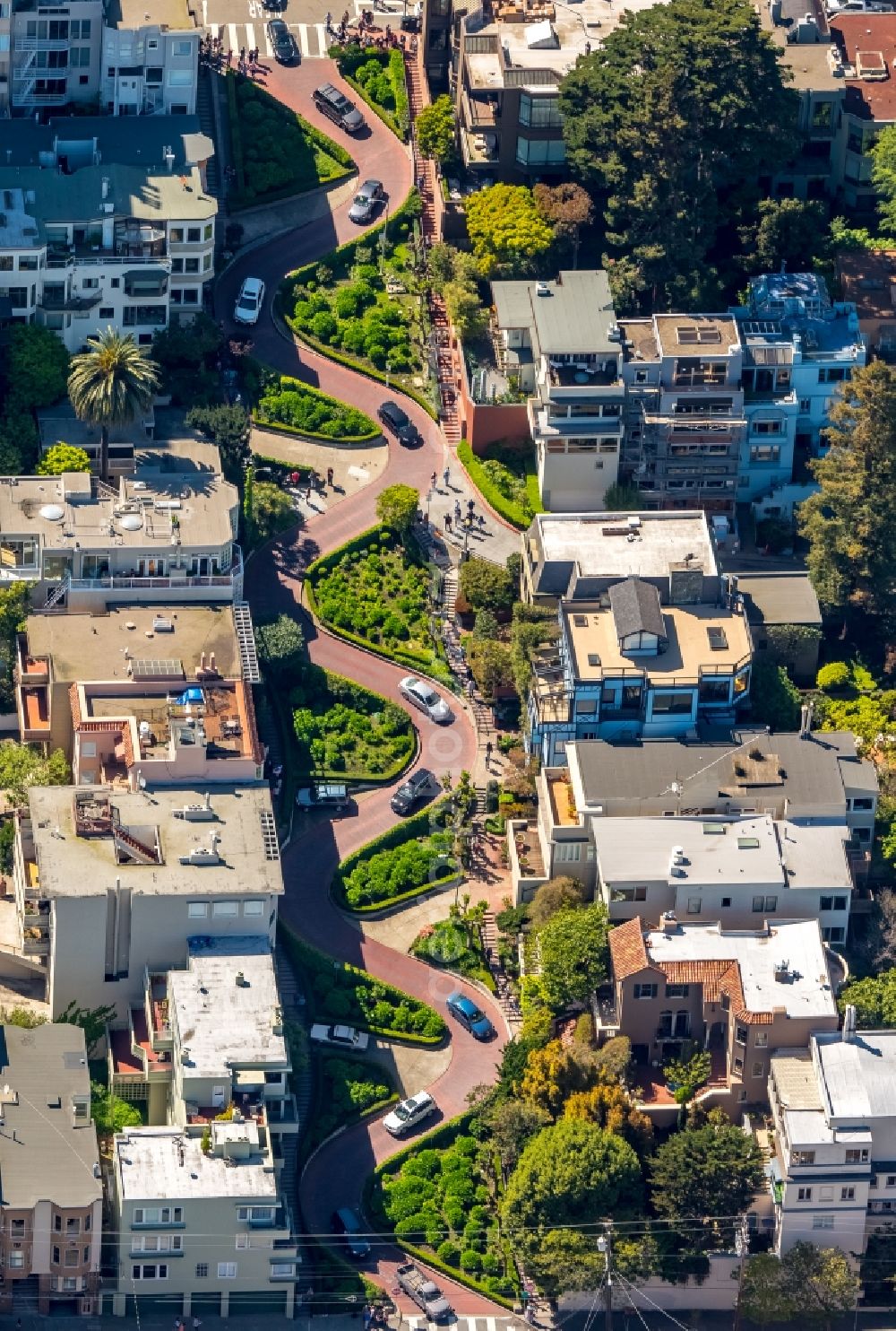 San Francisco from the bird's eye view: Serpentine-shaped curve of a road guide Lombard Street California in San Francisco in USA