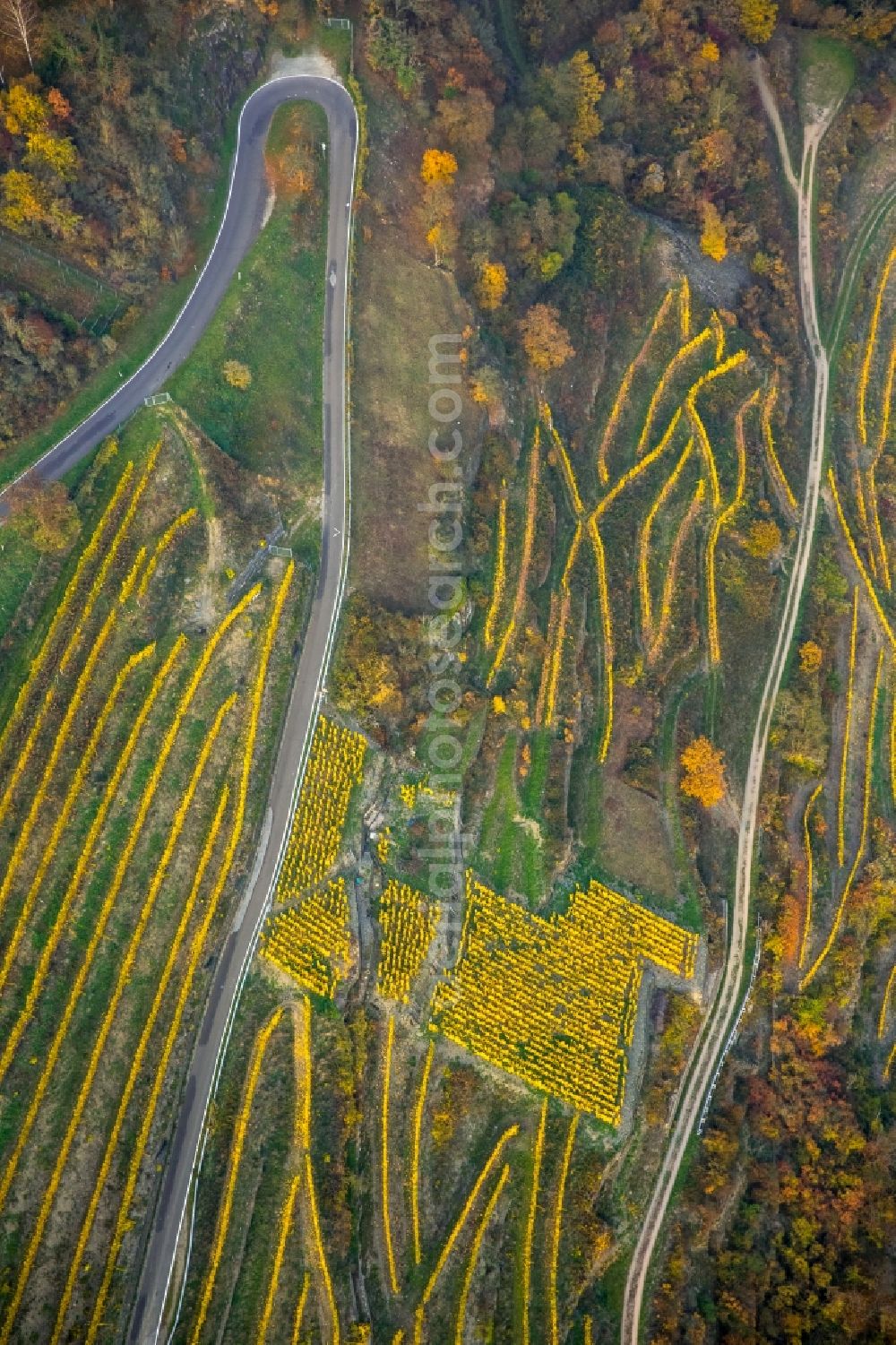 Aerial image Oberwesel - Serpentine-shaped curve of a road guide in the vineyards in Oberwesel in the state Rhineland-Palatinate