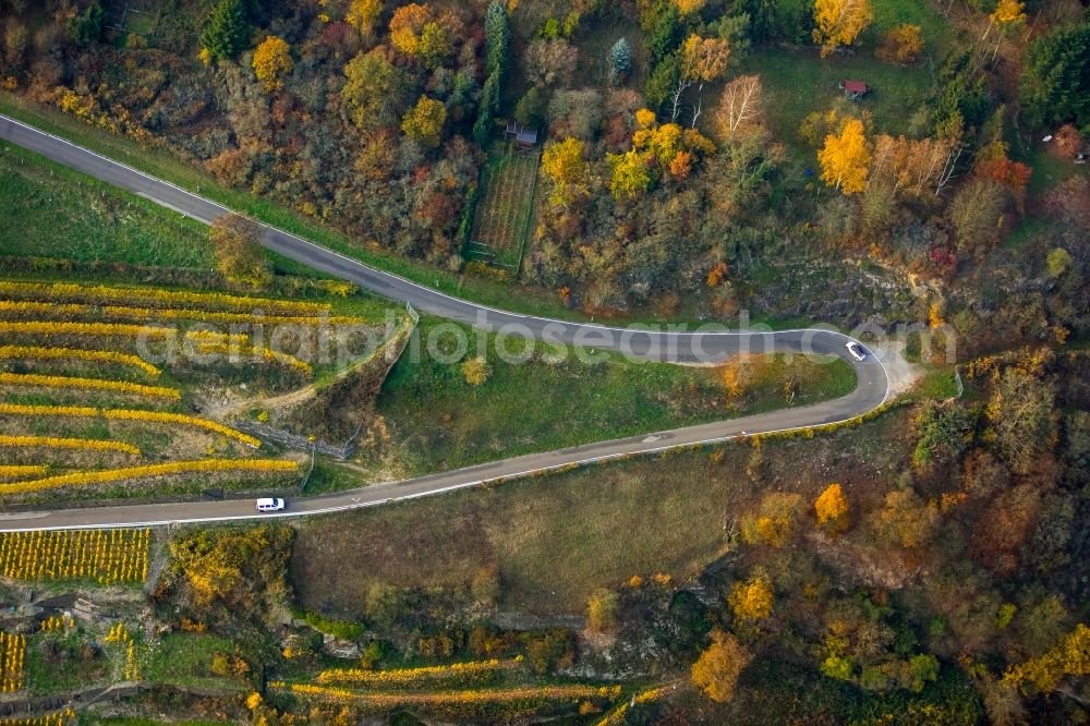 Oberwesel from above - Serpentine-shaped curve of a road guide in the vineyards in Oberwesel in the state Rhineland-Palatinate