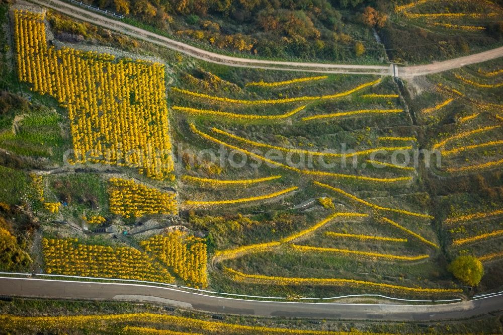 Aerial photograph Oberwesel - Serpentine-shaped curve of a road guide in the vineyards in Oberwesel in the state Rhineland-Palatinate