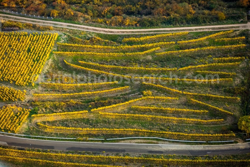 Oberwesel from above - Serpentine-shaped curve of a road guide in the vineyards in Oberwesel in the state Rhineland-Palatinate