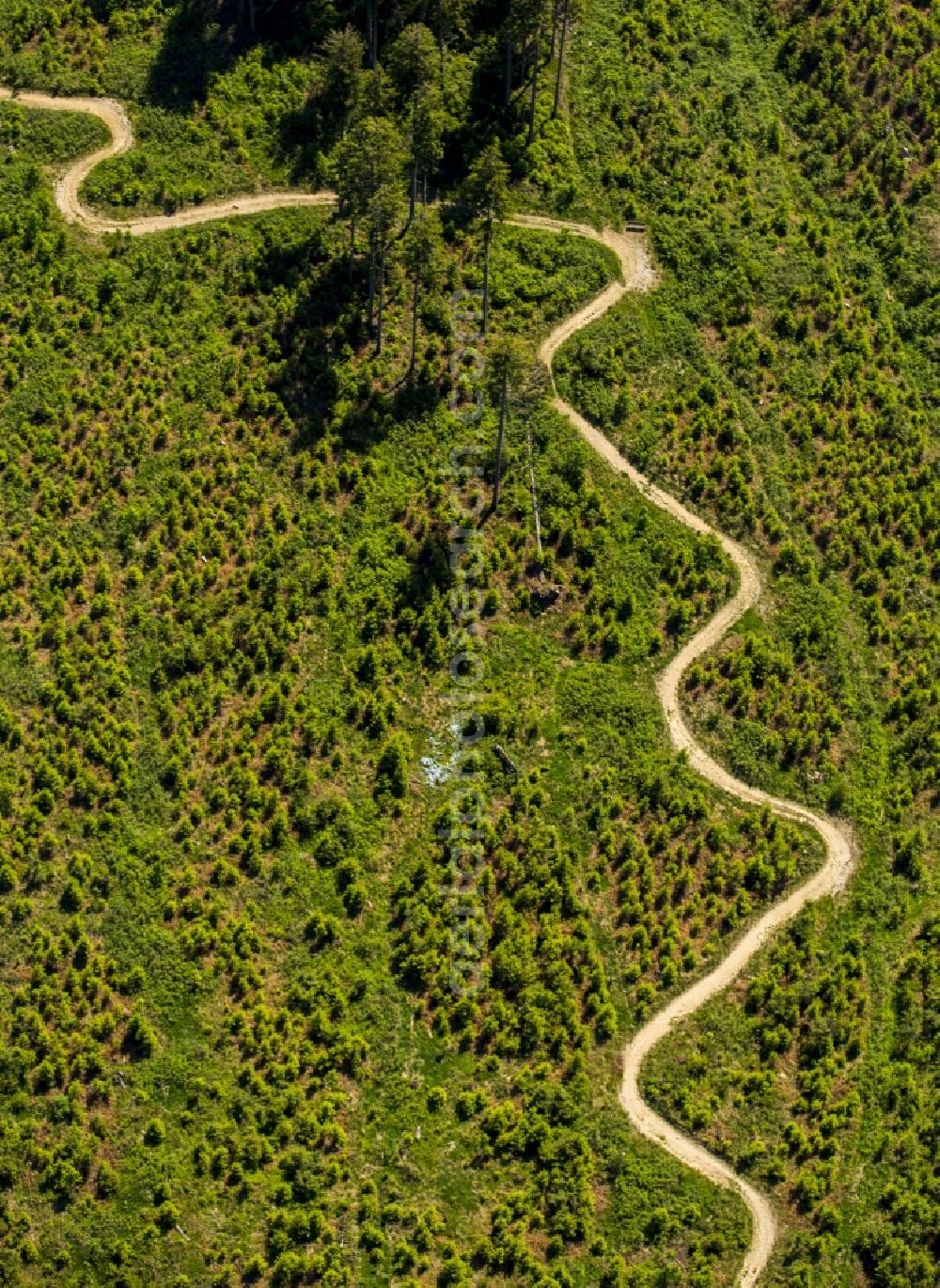 Aerial photograph Winterberg - Serpentine-shaped curve of a road guide in Winterberg in the state North Rhine-Westphalia