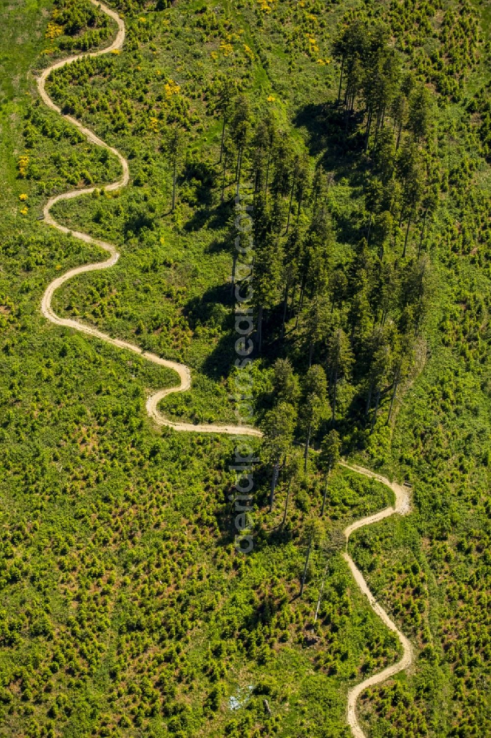 Winterberg from above - Serpentine-shaped curve of a road guide in Winterberg in the state North Rhine-Westphalia