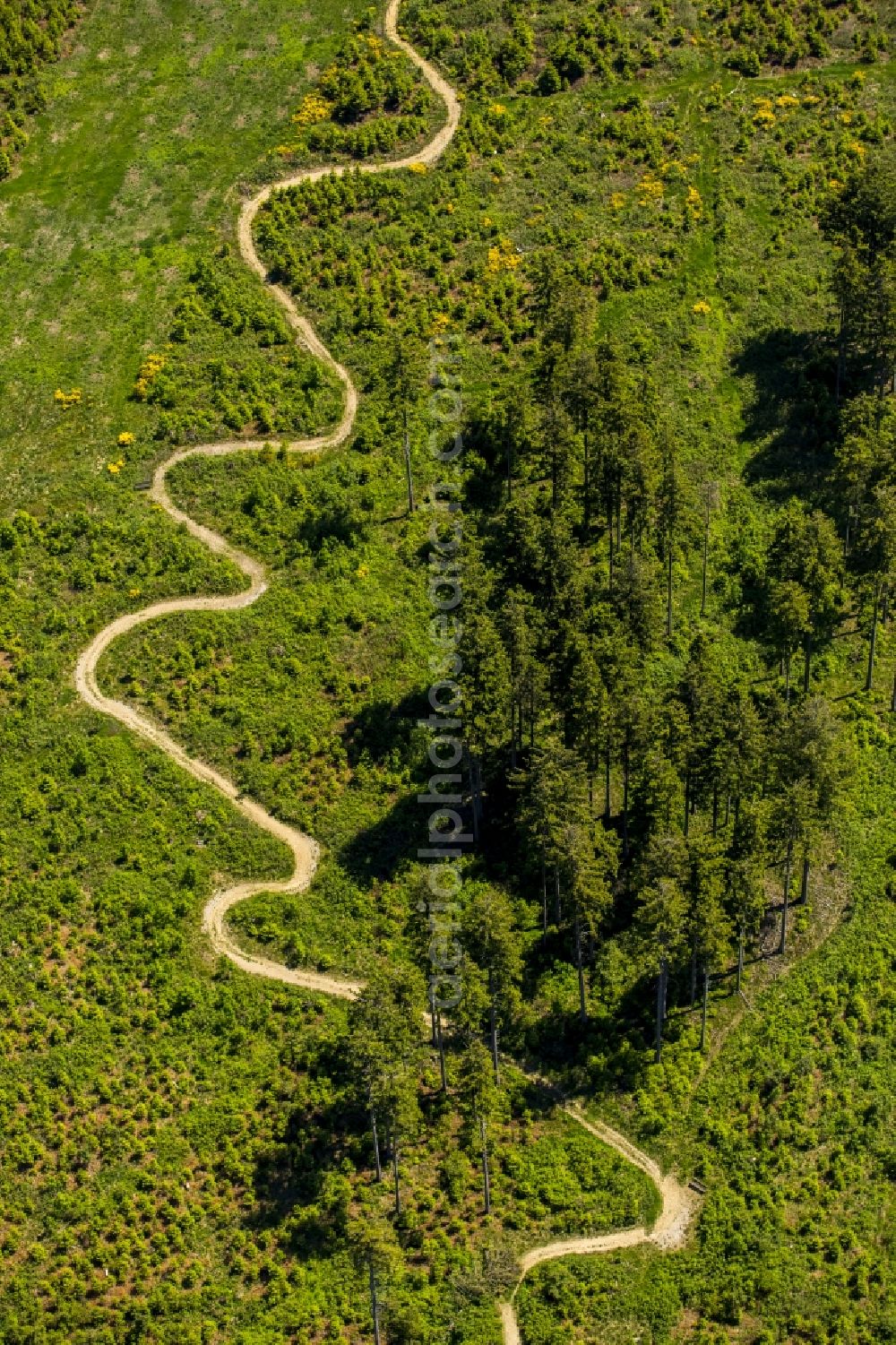 Winterberg from the bird's eye view: Serpentine-shaped curve of a road guide in Winterberg in the state North Rhine-Westphalia