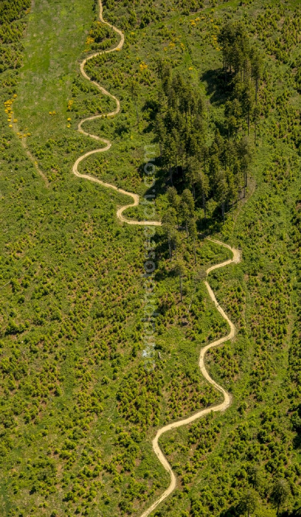 Winterberg from above - Serpentine-shaped curve of a road guide in Winterberg in the state North Rhine-Westphalia