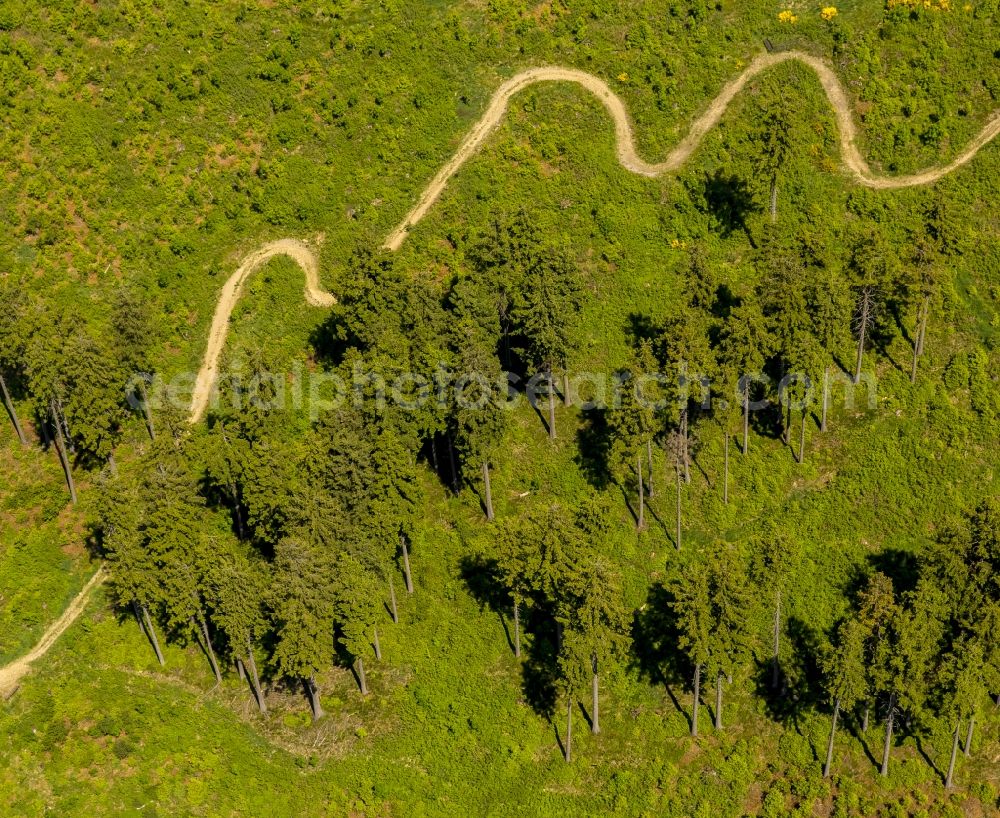 Winterberg from the bird's eye view: Serpentine-shaped curve of a road guide in Winterberg in the state North Rhine-Westphalia