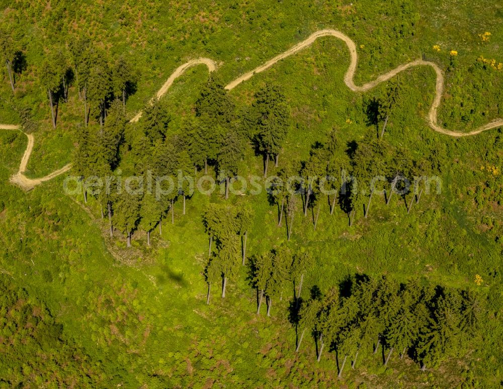 Aerial image Winterberg - Serpentine-shaped curve of a road guide in Winterberg in the state North Rhine-Westphalia