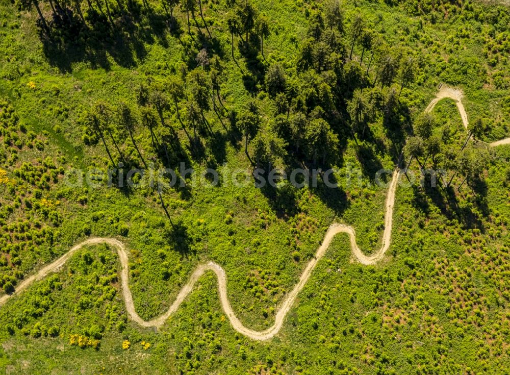 Aerial photograph Winterberg - Serpentine-shaped curve of a road guide in Winterberg in the state North Rhine-Westphalia