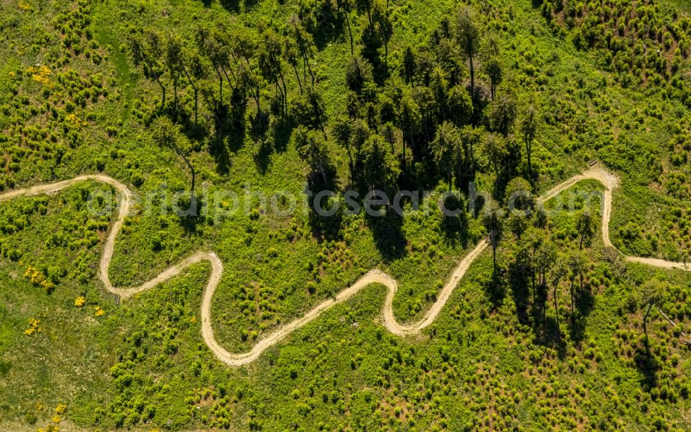 Winterberg from above - Serpentine-shaped curve of a road guide in Winterberg in the state North Rhine-Westphalia