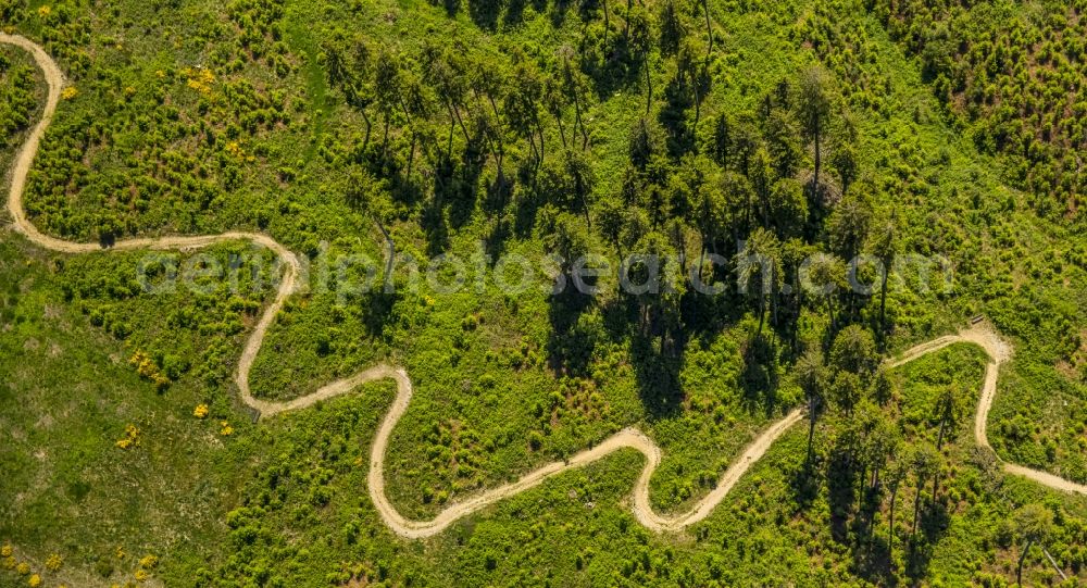 Winterberg from the bird's eye view: Serpentine-shaped curve of a road guide in Winterberg in the state North Rhine-Westphalia