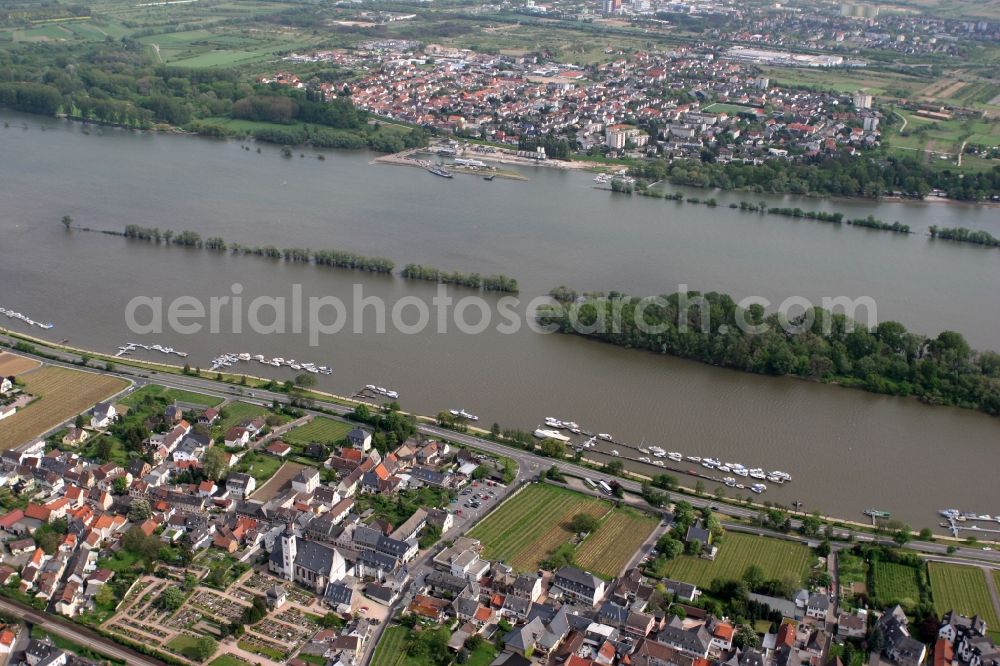 Aerial image Oestrich-Winkel - Settlements on the banks of the Rhine in Oestrich-Winkel in Hesse