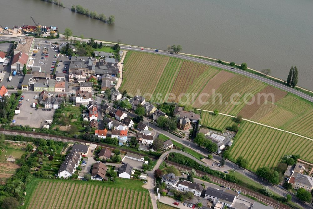 Oestrich-Winkel from above - Settlements on the banks of the Rhine in Oestrich-Winkel in Hesse