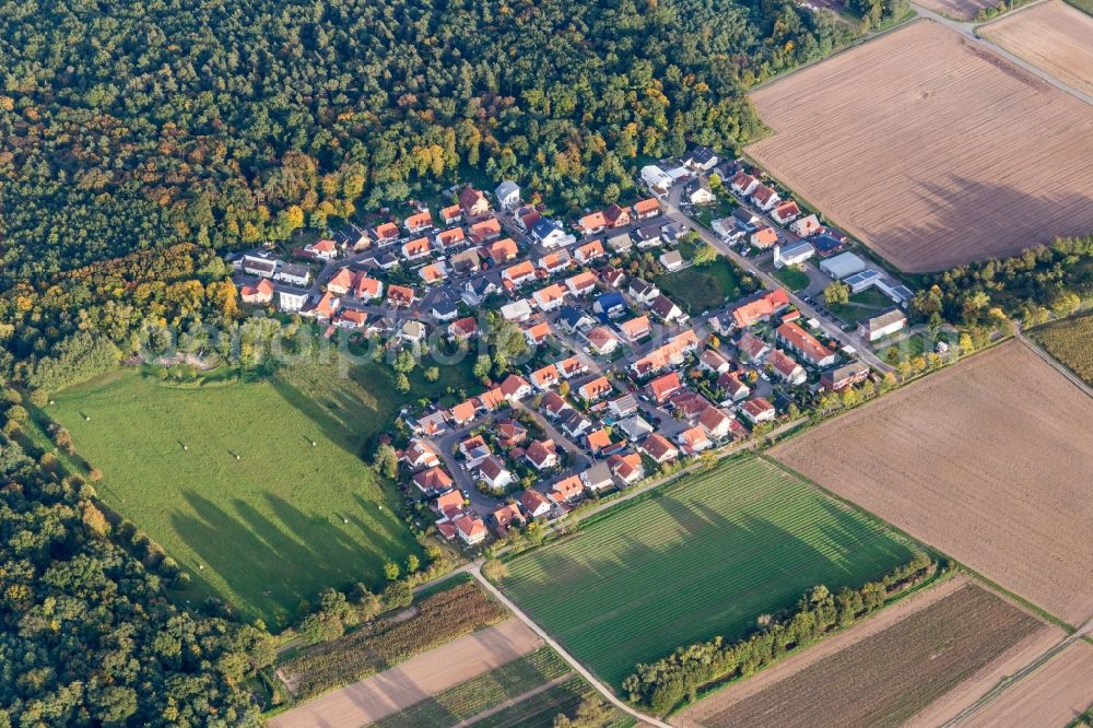 Schwegenheim from above - Settlement area in the district Vorderlohe in Schwegenheim in the state Rhineland-Palatinate, Germany