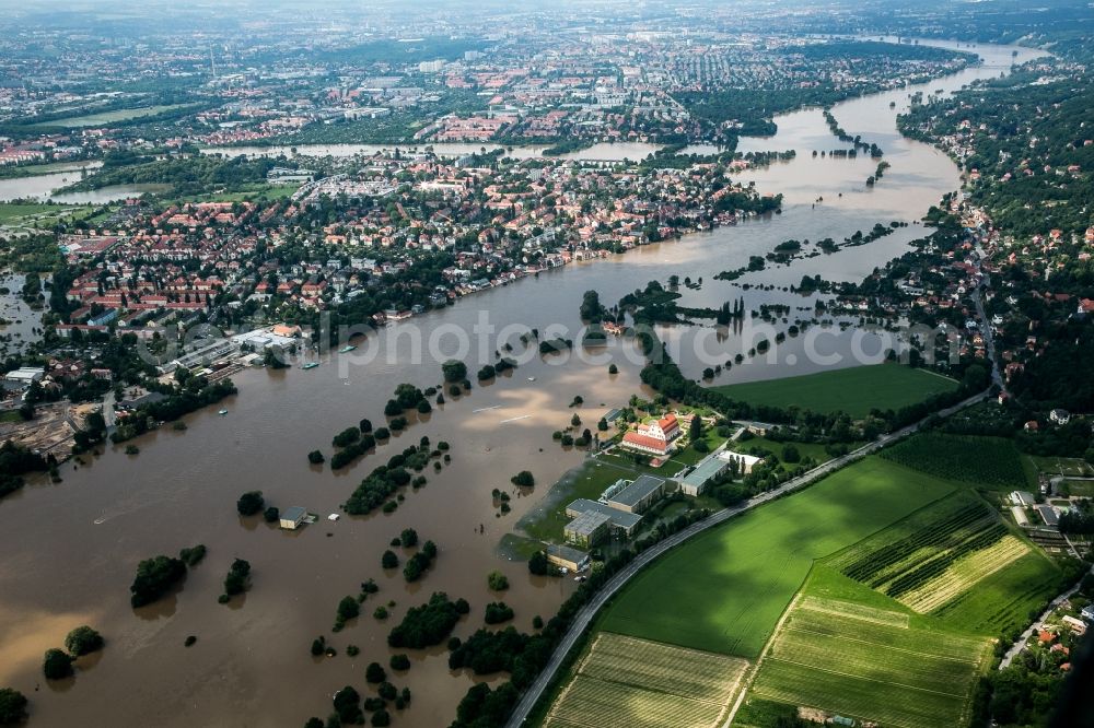 Dresden from above - The situation during the flooding in East Germany on the bank of the river Elbe in the city of Dresden in the state of Saxony. View from the Southeast into Dresden