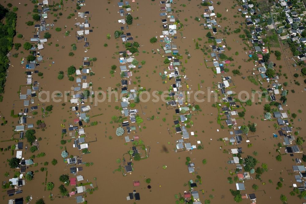 Riesa from above - The situation during the flooding in East Germany on the bank of the river Elbe in a garden allotment compound west of Riesa in the rural district of Meissen in the Free State of Saxony. The compound on the riverbank is almost completely flooded