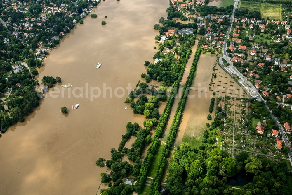 Aerial photograph Dresden - The situation during the flooding in East Germany on the bank of the river Elbe in the district of Hosterwitz in the city of Dresden in the state of Saxony