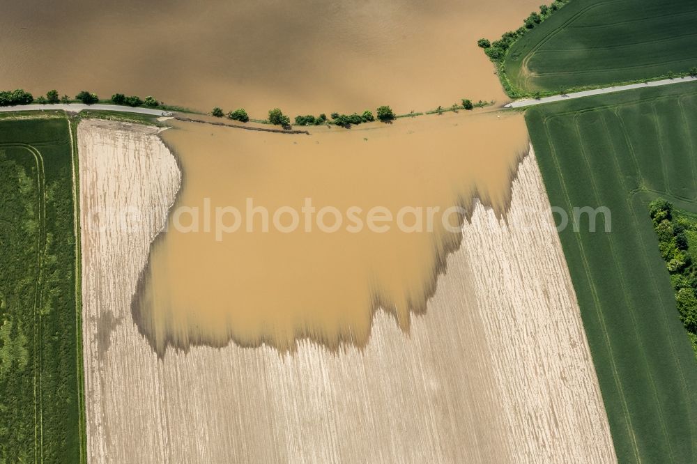 Dresden from above - The situation during the flooding in East Germany on the bank of the river Elbe in Kaditz in the city of Dresden in the state of Saxony. Detail of the North shore