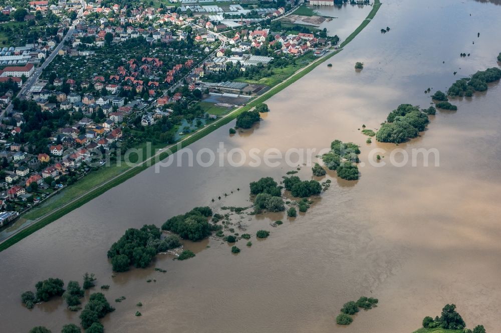 Dresden from the bird's eye view: The situation during the flooding in East Germany on the bank of the river Elbe in the Kaditz district of the city of Dresden in the state of Saxony. The flood channel between Kaditz and Übigau is filled with water due to the flooding