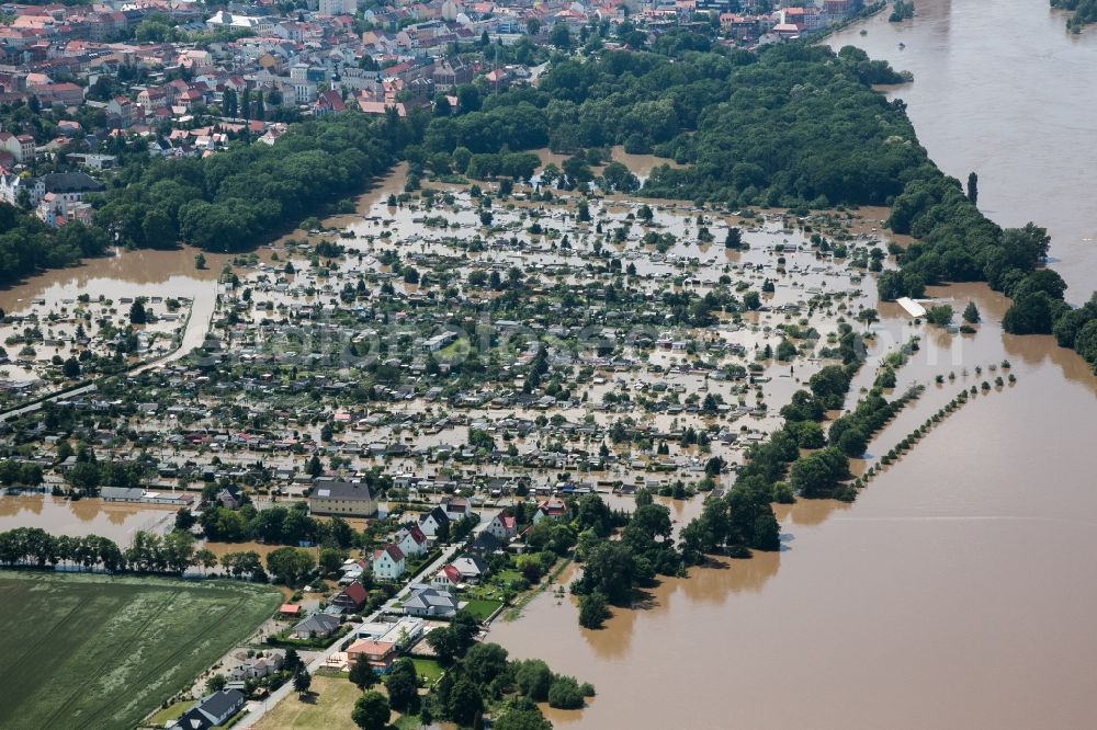 Riesa from above - The situation during the flooding in East Germany on the bank of the river Elbe in a garden allotment compound west of Riesa in the rural district of Meissen in the Free State of Saxony. The compound on the riverbank is almost completely flooded